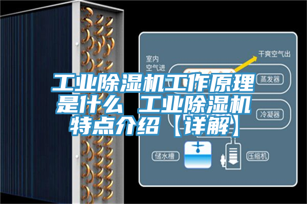 工業除濕機工作原理是什么 工業除濕機特點介紹【詳解】