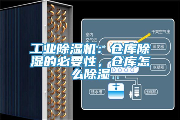 工業除濕機：倉庫除濕的必要性，倉庫怎么除濕