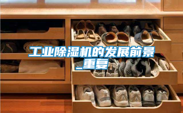 工業(yè)除濕機的發(fā)展前景_重復(fù)