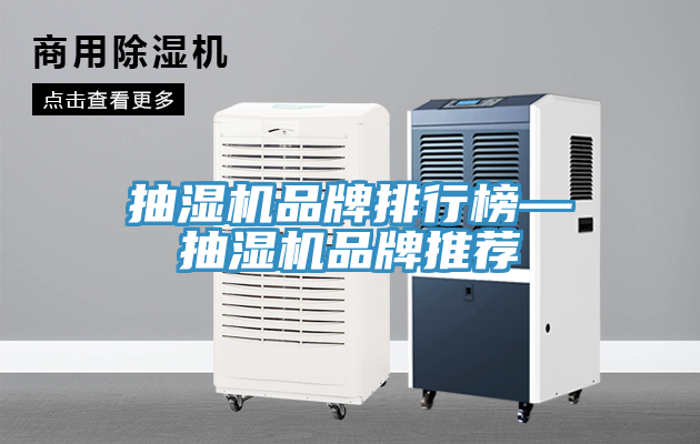 抽濕機品牌排行榜—抽濕機品牌推薦
