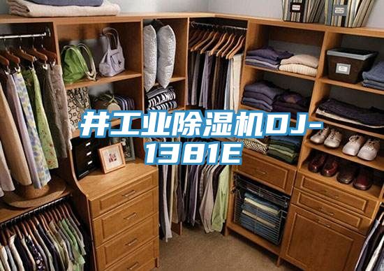 東井工業除濕機DJ-1381E