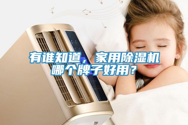 有誰知道，家用除濕機哪個牌子好用？