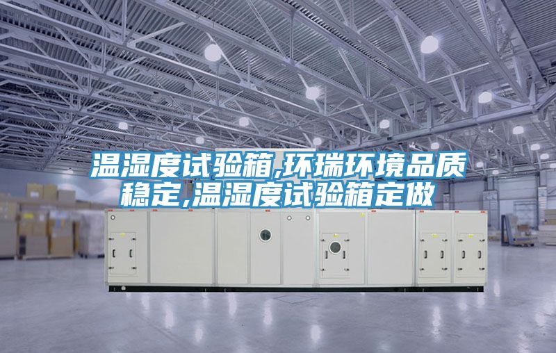 溫濕度試驗箱,環瑞環境品質穩定,溫濕度試驗箱定做