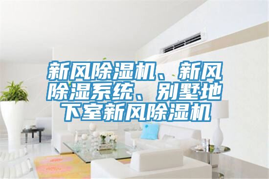 新風(fēng)除濕機(jī)、新風(fēng)除濕系統(tǒng)、別墅地下室新風(fēng)除濕機(jī)