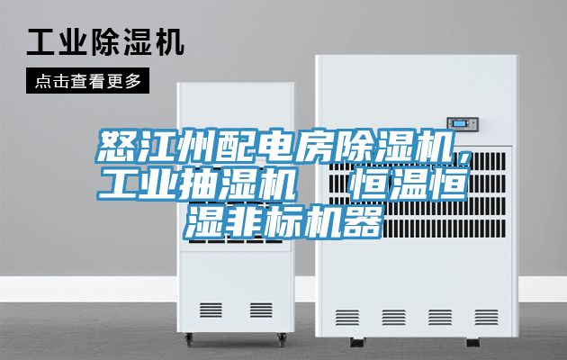 怒江州配電房除濕機，工業(yè)抽濕機  恒溫恒濕非標(biāo)機器