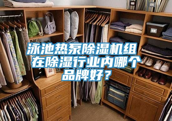 泳池?zé)岜贸凉駲C(jī)組 在除濕行業(yè)內(nèi)哪個品牌好？