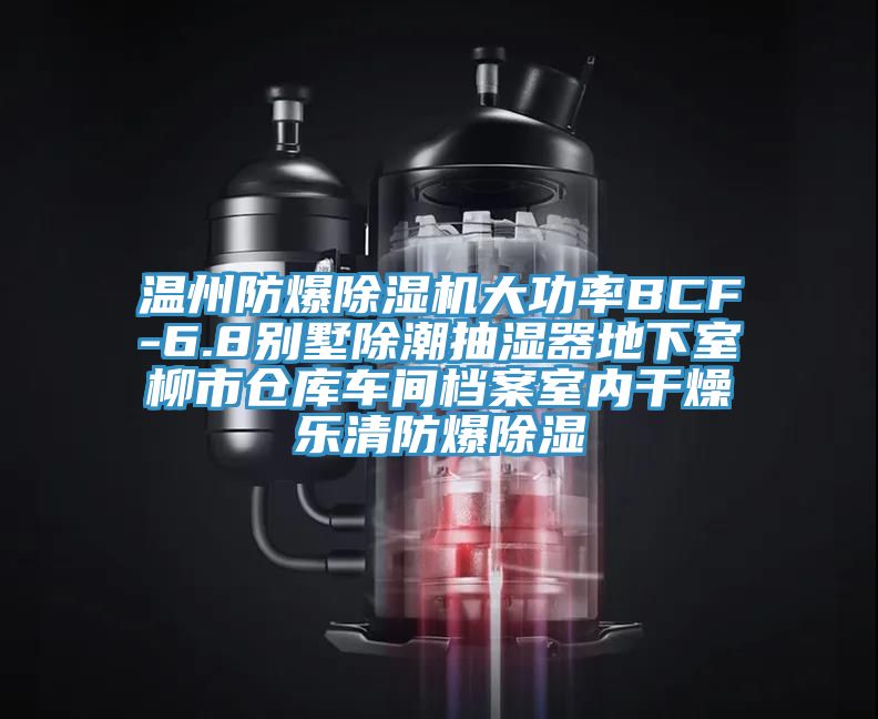 溫州防爆除濕機大功率BCF-6.8別墅除潮抽濕器地下室柳市倉庫車間檔案室內(nèi)干燥樂清防爆除濕