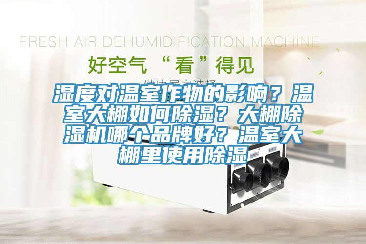 濕度對溫室作物的影響？溫室大棚如何除濕？大棚除濕機哪個品牌好？溫室大棚里使用除濕