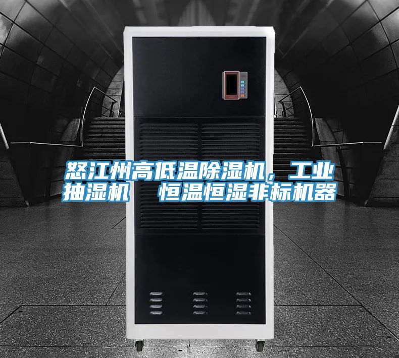 怒江州高低溫除濕機，工業(yè)抽濕機  恒溫恒濕非標(biāo)機器