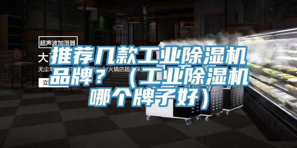 推薦幾款工業除濕機品牌？（工業除濕機哪個牌子好）