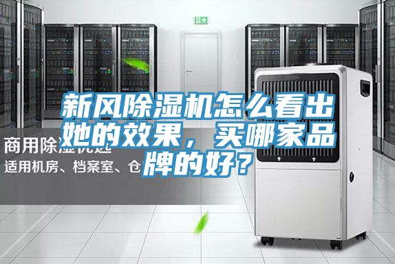 新風除濕機怎么看出她的效果,買哪家品牌的好?