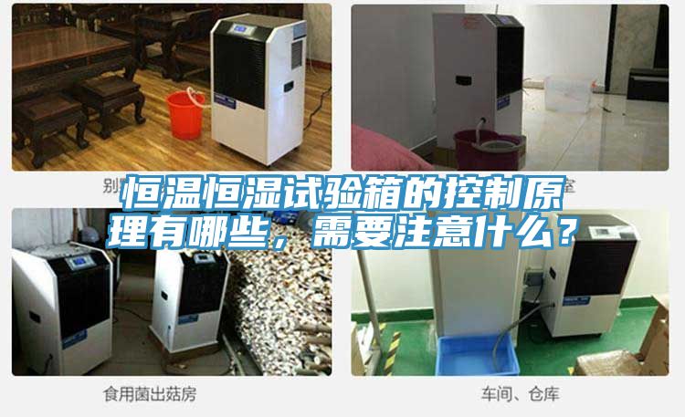 恒溫恒濕試驗(yàn)箱的控制原理有哪些，需要注意什么？
