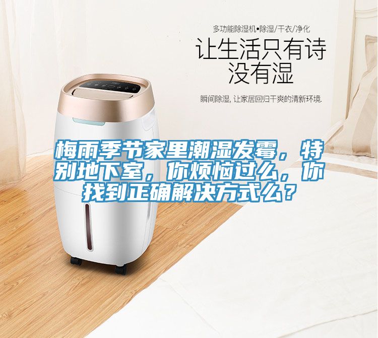 梅雨季節(jié)家里潮濕發(fā)霉,特別地下室,你煩惱過么,你找到正確解決方式么?