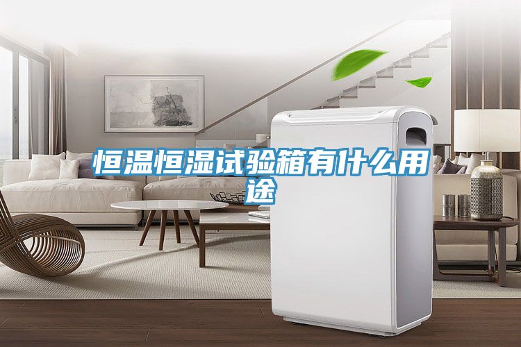 恒溫恒濕試驗箱有什么用途