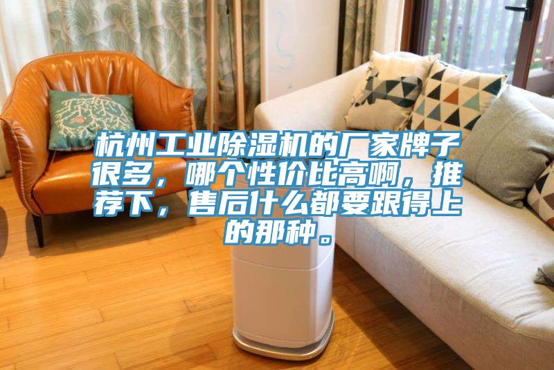 杭州工業除濕機的廠家牌子很多，哪個性價比高啊，推薦下，售后什么都要跟得上的那種。