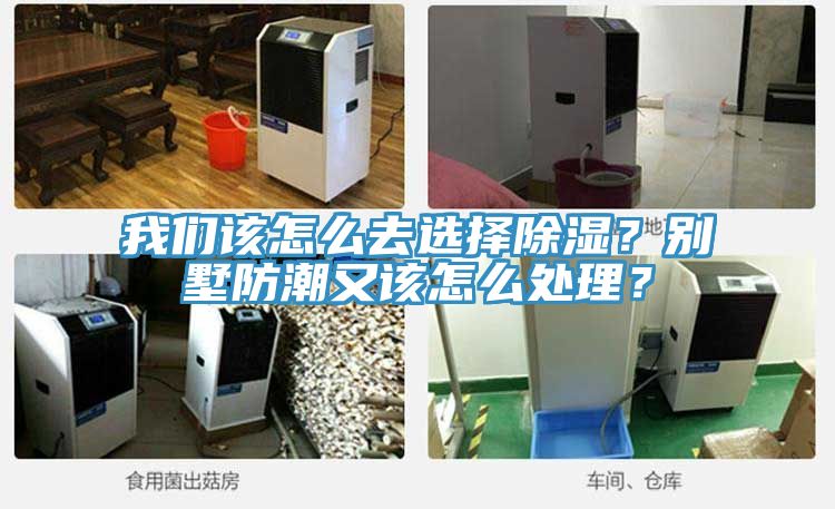 我們該怎么去選擇除濕?別墅防潮又該怎么處理?
