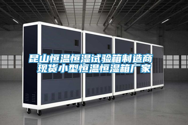 昆山恒溫恒濕試驗(yàn)箱制造商 現(xiàn)貨小型恒溫恒濕箱廠家