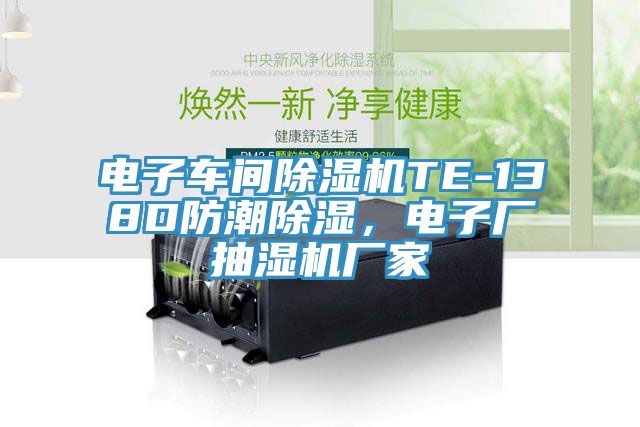 電子車間除濕機TE-138D防潮除濕，電子廠抽濕機廠家