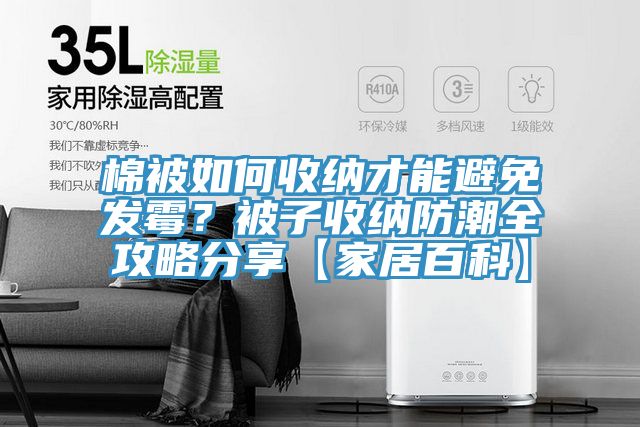 棉被如何收納才能避免發霉？被子收納防潮全攻略分享【家居百科】