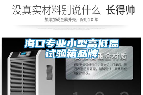 ?？趯I小型高低溫試驗箱品牌