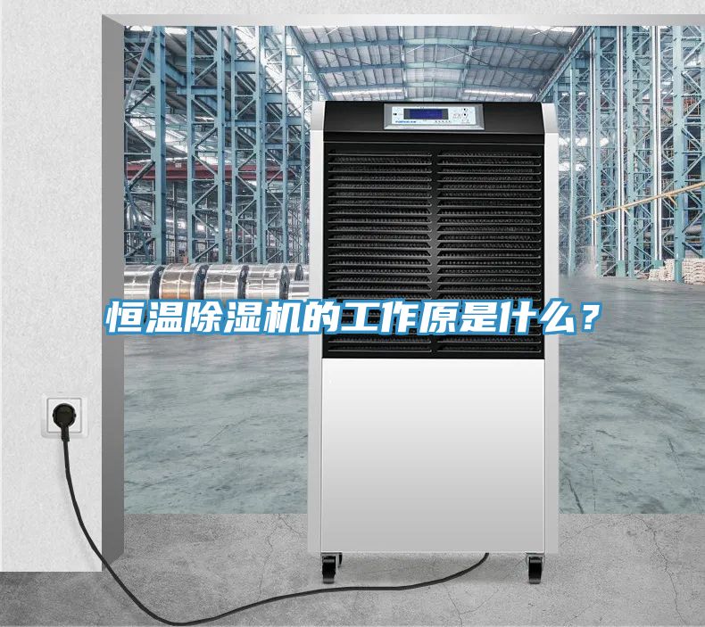 恒溫除濕機的工作原是什么？