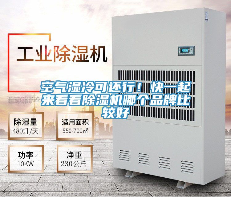 空氣濕冷可還行！快一起來看看除濕機哪個品牌比較好