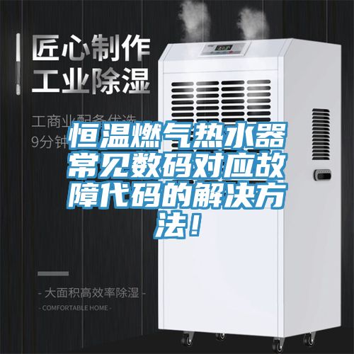 恒溫燃氣熱水器常見數(shù)碼對應故障代碼的解決方法！