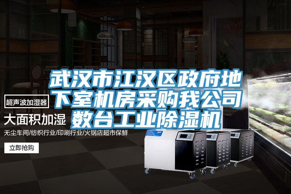 武漢市江漢區(qū)政府地下室機(jī)房采購(gòu)我公司數(shù)臺(tái)工業(yè)除濕機(jī)