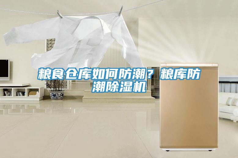 糧食倉庫如何防潮？糧庫防潮除濕機(jī)