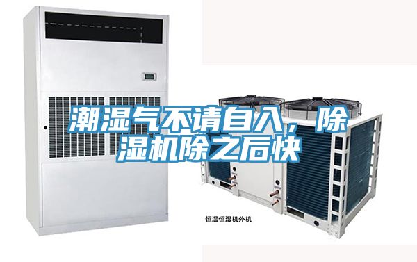 潮濕氣不請自入,除濕機除之后快