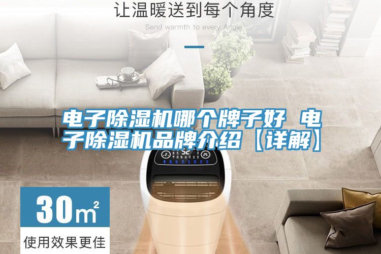 電子除濕機哪個牌子好 電子除濕機品牌介紹【詳解】