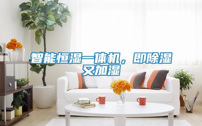 智能恒濕一體機，即除濕又加濕