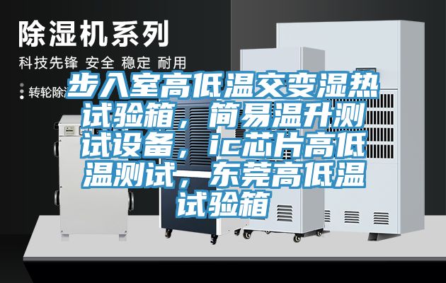 步入室高低溫交變濕熱試驗箱，簡易溫升測試設備，ic芯片高低溫測試，東莞高低溫試驗箱