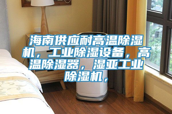 海南供應(yīng)耐高溫除濕機(jī)，工業(yè)除濕設(shè)備，高溫除濕器，濕亞工業(yè)除濕機(jī)，