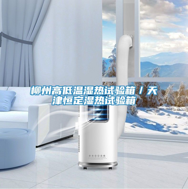 柳州高低溫濕熱試驗箱/天津恒定濕熱試驗箱
