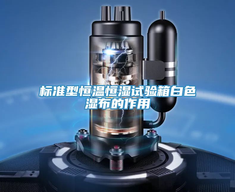 標(biāo)準(zhǔn)型恒溫恒濕試驗(yàn)箱白色濕布的作用