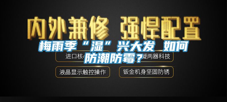 梅雨季“濕”興大發 如何防潮防霉？