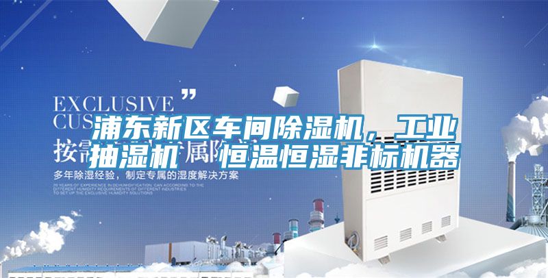 浦東新區(qū)車間除濕機(jī)，工業(yè)抽濕機(jī)  恒溫恒濕非標(biāo)機(jī)器