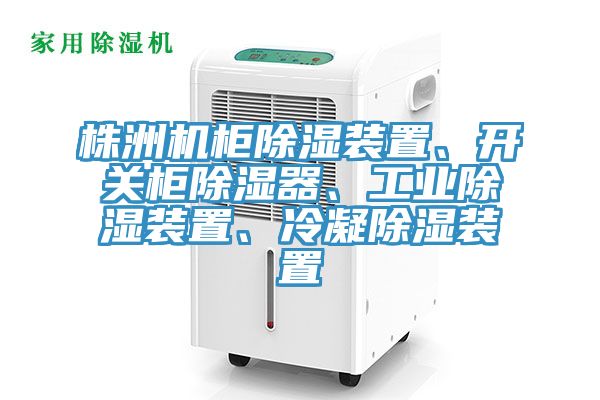 株洲機柜除濕裝置、開關柜除濕器、工業除濕裝置、冷凝除濕裝置