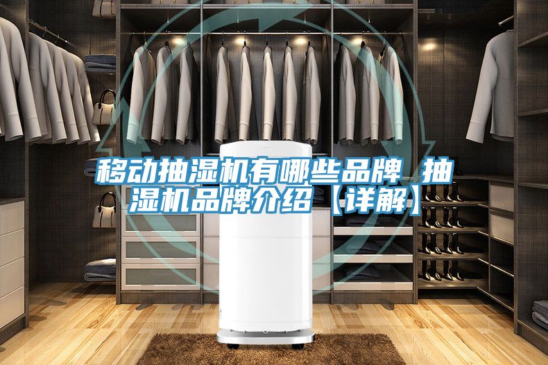 移動抽濕機有哪些品牌 抽濕機品牌介紹【詳解】