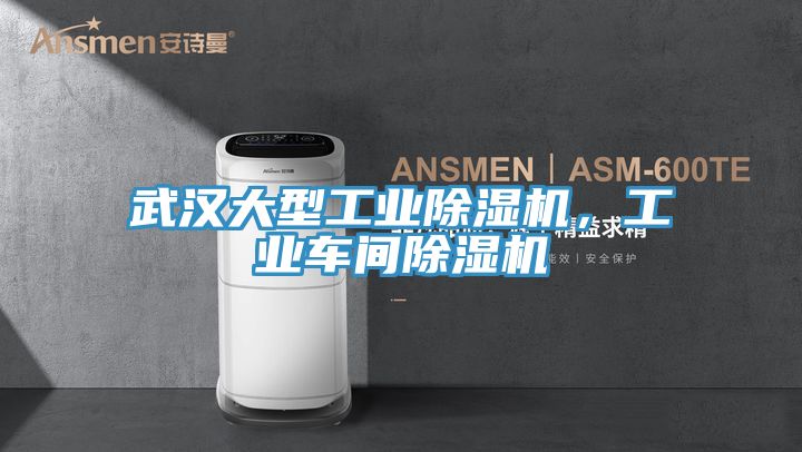 武漢大型工業除濕機，工業車間除濕機