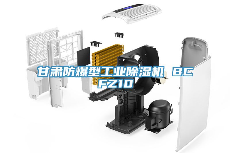 甘肅防爆型工業除濕機 BCFZ10