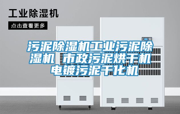 污泥除濕機工業污泥除濕機 市政污泥烘干機 電鍍污泥干化機