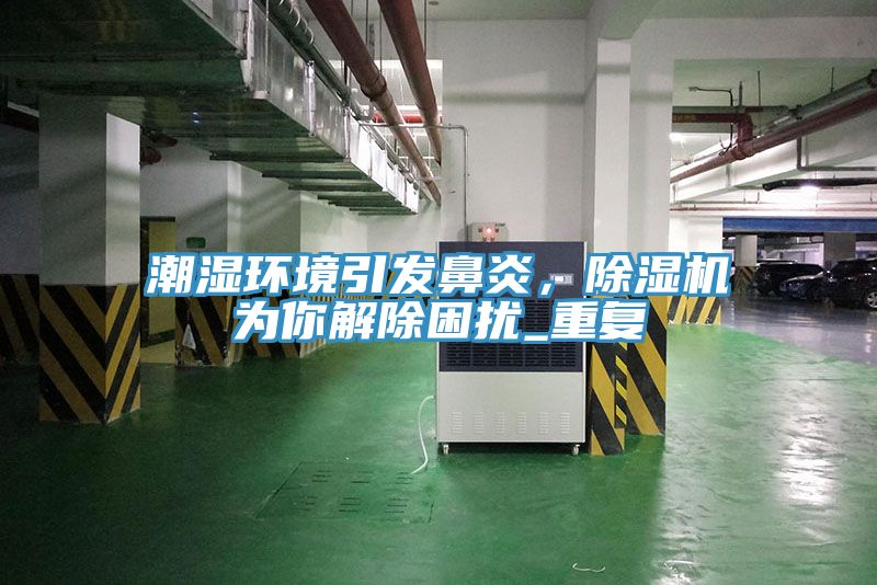 潮濕環境引發鼻炎,除濕機為你解除困擾_重復