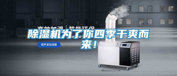 除濕機為了你四季干爽而來!