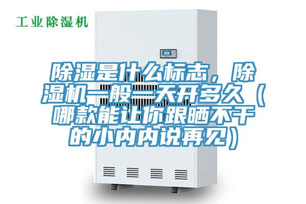 除濕是什么標志，除濕機一般一天開多久（哪款能讓你跟曬不干的小內內說再見）