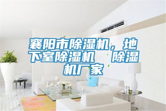 襄陽市除濕機(jī)，地下室除濕機(jī)  除濕機(jī)廠家