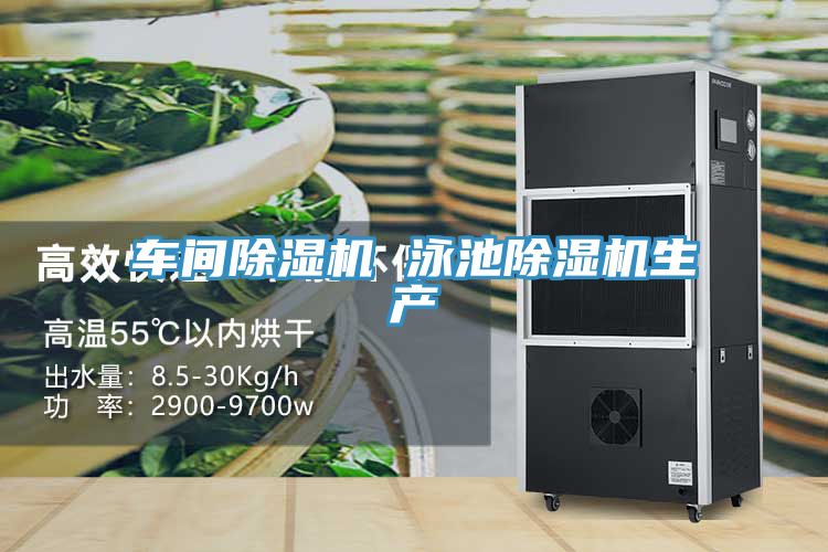 車間除濕機 泳池除濕機生產