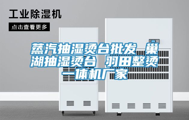 蒸汽抽濕燙臺批發 巢湖抽濕燙臺 羽田整燙一體機廠家