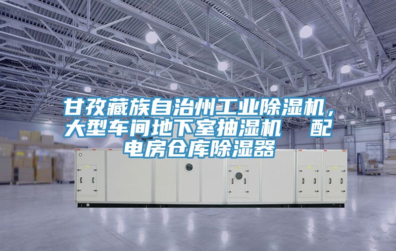 甘孜藏族自治州工業除濕機，大型車間地下室抽濕機  配電房倉庫除濕器